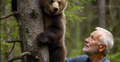 Медведица рычала, метались из стороны в сторону и жалобно просила помощи для своего детёныша — и люди откликнулись.