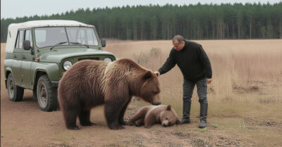 Она положила детёныша к моим ногам. То, что было дальше — вас сразит