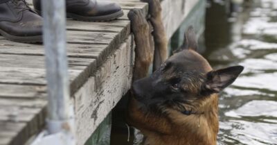 Когда сердца находят друг друга