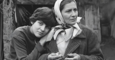 Обычный поход за солью оборачивается неожиданной встречей: спасая мальчика от стаи гусей, женщина даже не подозревает, что этот испуганный ребёнок навсегда изменит жизнь её семьи и раскроет цепь несправедливости