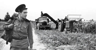 1945 год. Он вернулся героем, женился на другой, а потом сделал такое, о чем шептались все от молочной фермы до сельсовета. История любви, которая закончилась не так, как думали все.