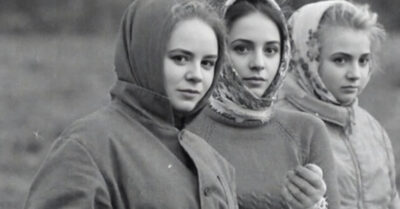 Три подруги бросают вызов рутине, тыкая пальцем в карту — и оказываются в сибирской глуши. То, что начиналось как авантюрный побег от прошлого, превращается в борьбу за выживание, где тайга скрывает не только медведей, но и беглых заключенных