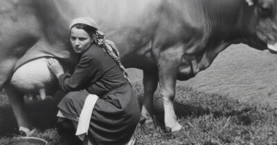 Его мать думала, что светлая голова в деревне нужна только для подсчета коров. Он сбежал из этой дыры, пока она считала копейки. А вернулся только затем, чтобы посмотреть в глаза матери и сказать