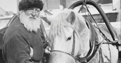 Сменив трактор на лошадь, обнаружил, что пенсия пахнет не только степными травами, но и вечерней стопкой после смены. Его жена, терпение которой лопнуло, решила пригрозить разводом. И всё бы ничего, если бы он в панике не разослал детям срочные телеграммы о семейном крахе