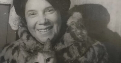 История бабы, которая хоронила кота, соседку матом послала и репутацию железобетонную берегла, пока не нашла у себя на подушке наглого усача, знавшего секрет, как растопить лёд — потому что хвостатый стратег знал план