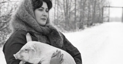 Он выиграл в суде, оставив мне лишь клочок земли в забытой богом Ольховке. Он хохотал, представляя, как я тону в грязи в своих дизайнерских туфлях. Он не знал, что эта грязь скрывает россыпи, за которые его хваленые инвесторы готовы перегрызть друг другу глотки