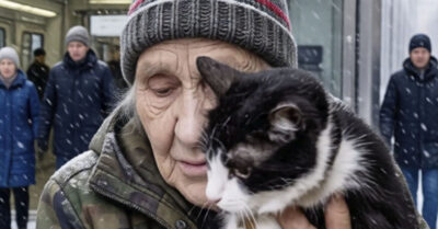 Бабка-старушка впивалась руками в кошку, будто та её последняя живая грелка.  Слезы у них были общие — оба медленно замерзали у всех на глазах