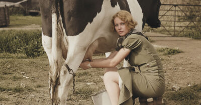 От коровьего ведра молока до золотого обручального кольца: как я „приручила“ чужого быка-мужа, заставив деревню жевать языки вместо моей простокваши