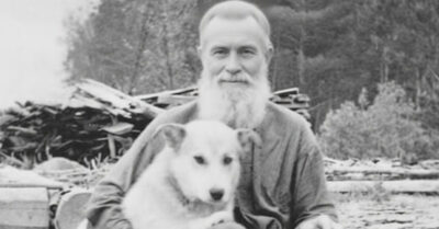 В глухой деревне 1950-х дед и внучка тайком держат в сарае бездомную собаку со щенками. Суровая бабушка, кажется, ненавидит эту затею, но когда в семью приходит беда, спасти жизнь поможет только необычная преданность двух лохматых псов