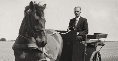 Зимняя сказка о девочке, чья жизнь висела на тонкой ниточке, превращается в леденящую душу тайну в заброшенной деревне. Чтобы спасти дочь, отец везет ее в родовой дом, не подозревая, что за инеем на окнах и доброй улыбкой соседки скрывается древняя магия